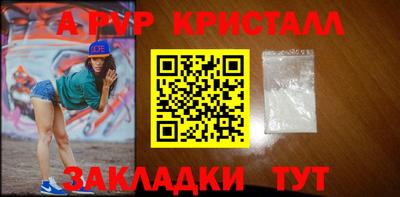 спиды Донской